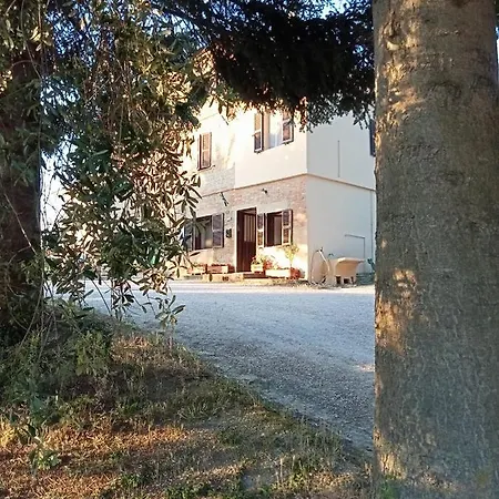 Campo Base * Sant'Angelo in Pontano