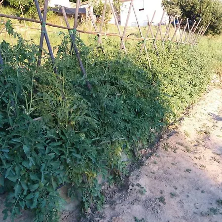 Campo Base Διαμέρισμα